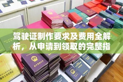 特克斯驾驶证制作要求及费用全解析，从申请到领取的完整指南