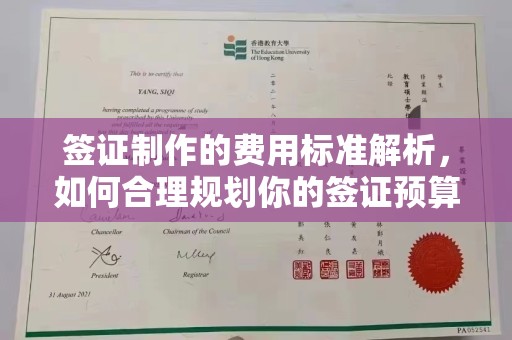 特克斯签证制作的费用标准解析，如何合理规划你的签证预算