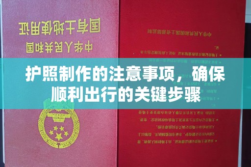 特克斯护照制作的注意事项，确保顺利出行的关键步骤