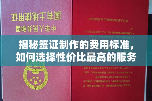 特克斯揭秘签证制作的费用标准，如何选择性价比最高的服务？