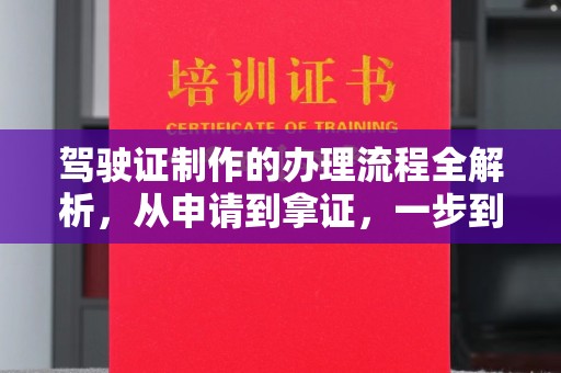 特克斯驾驶证制作的办理流程全解析，从申请到拿证，一步到位！