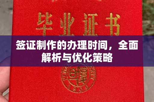 特克斯签证制作的办理时间，全面解析与优化策略