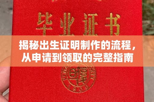 特克斯揭秘出生证明制作的流程，从申请到领取的完整指南
