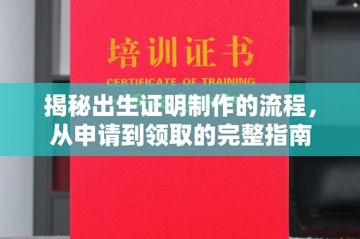特克斯揭秘出生证明制作的流程，从申请到领取的完整指南