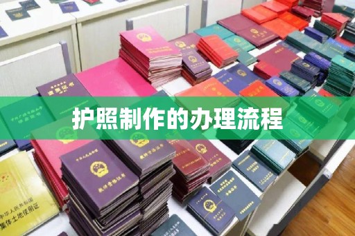 特克斯护照制作的办理流程