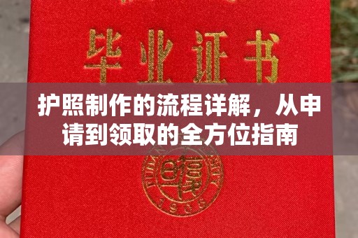 特克斯护照制作的流程详解，从申请到领取的全方位指南