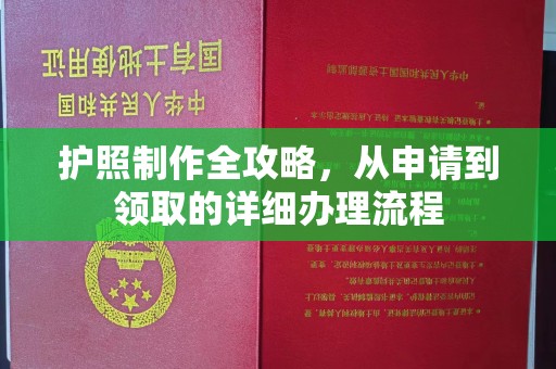 特克斯护照制作全攻略，从申请到领取的详细办理流程